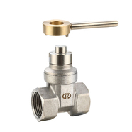 B109 不銹鋼磁性帶鎖軟密封閘閥